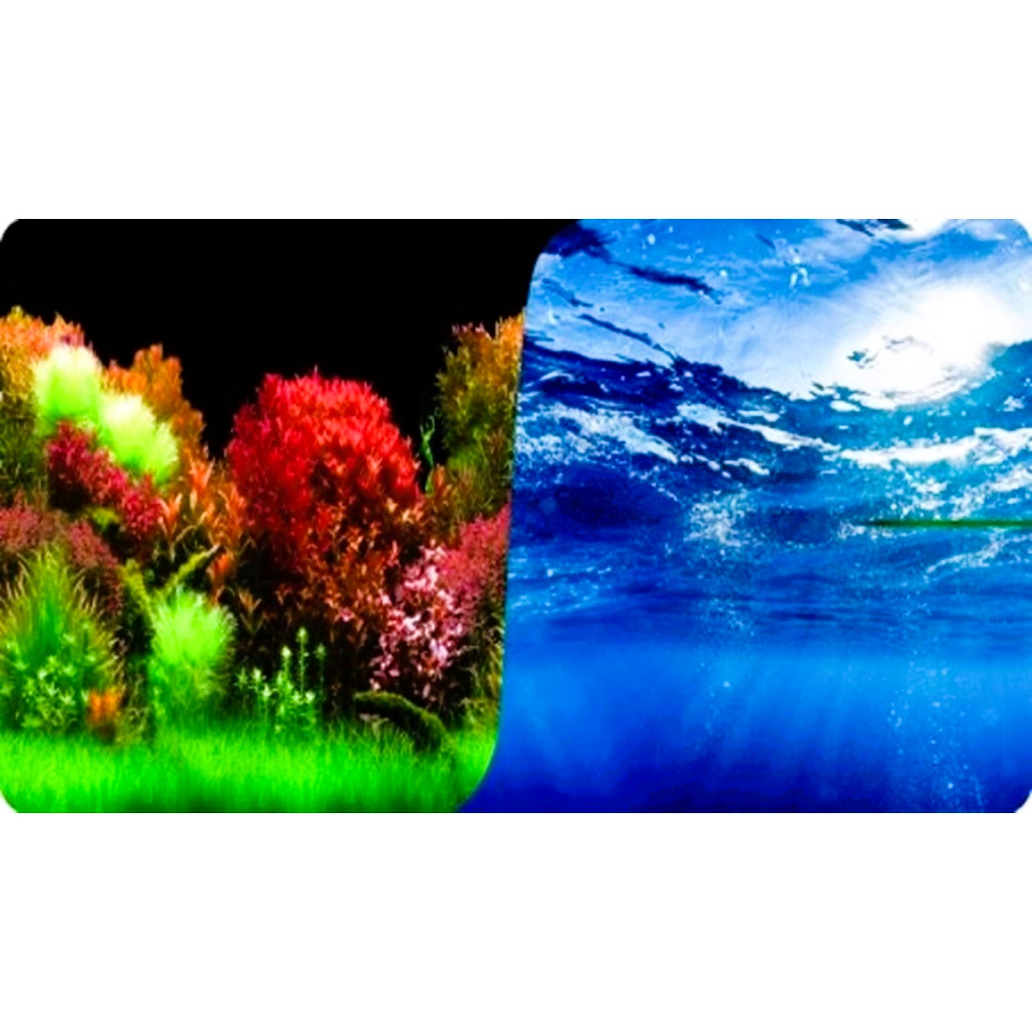 Naturel Color Akvaryum Arka Fon Posteri Tropik Bitki & Derin Okyanus 30 Cm x 15 M Rulo