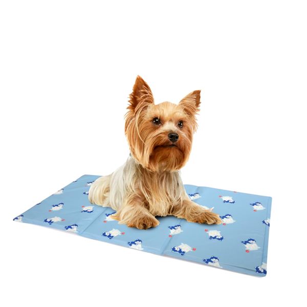 Camon Köpekler İçin Soğutucu Serinletici Mat