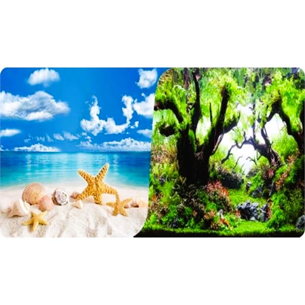 Aqua Master Akvaryum Arka Fon Posteri Tropik Sahil & Yeşil Orman 40 Cm x 15 M Rulo