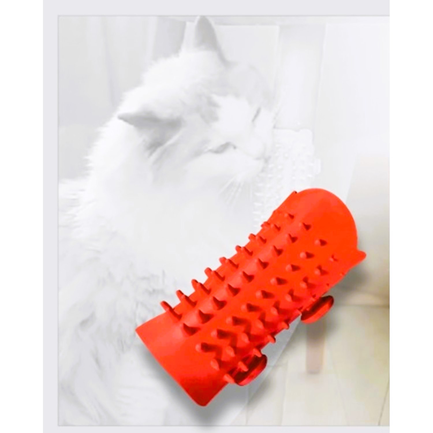 Majo Kedi Köşe Kaşıma ve Masaj Fırçası