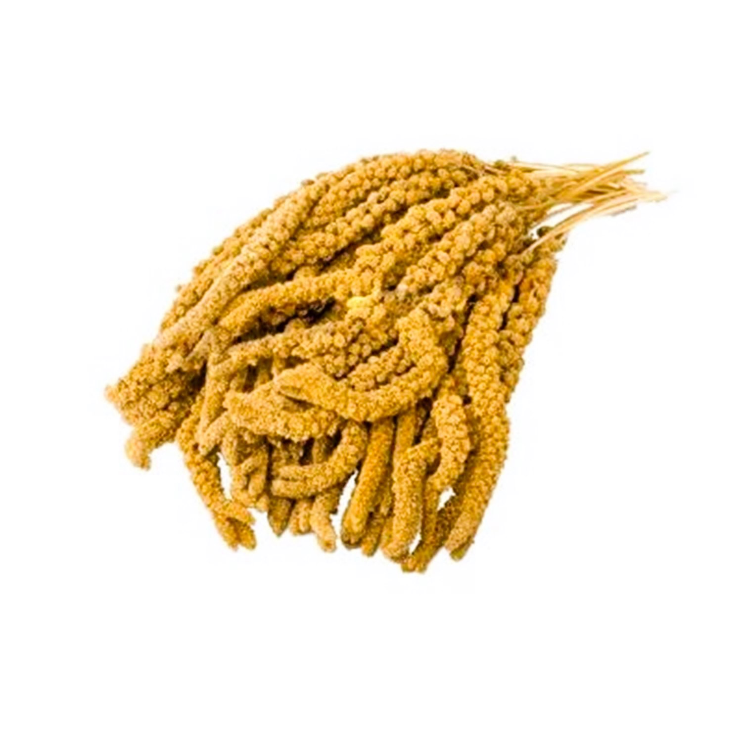 EuroGold İthal Sarı Dal Darı 1 Kg