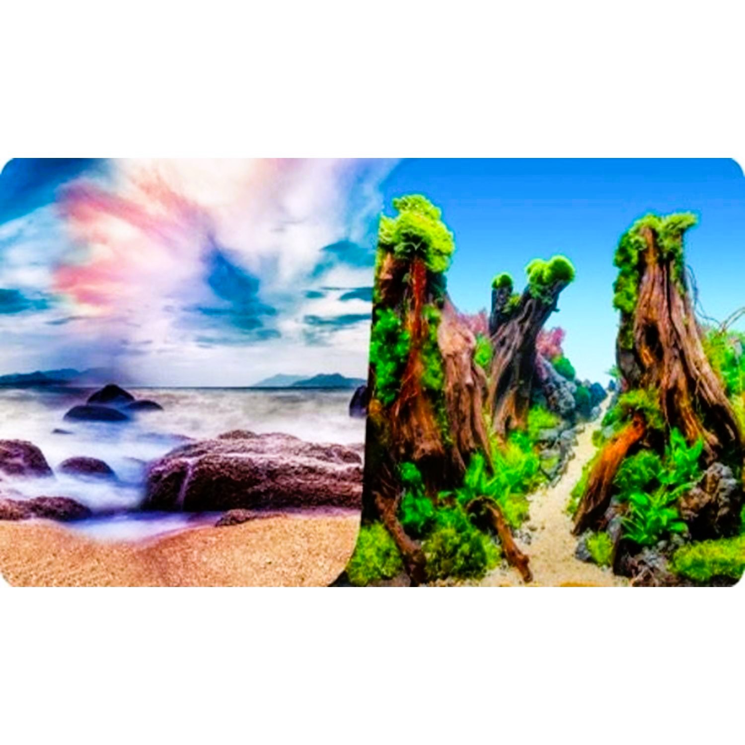 Aqua Master Akvaryum Arka Fon Posteri Kayalık Sahil & Doğal Kaya Vadisi 30 Cm x 15 M Rulo