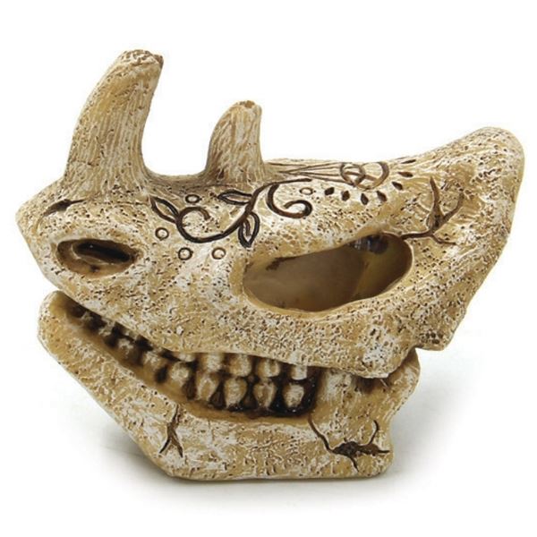 Yarım Kafa İskeleti Dekor 7,5x4,3x6,2 cm
