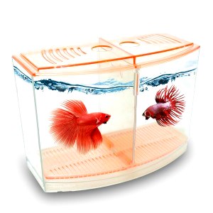 Atlantik İkili Betalık Tank 9 19 14 cm 1800 ml
